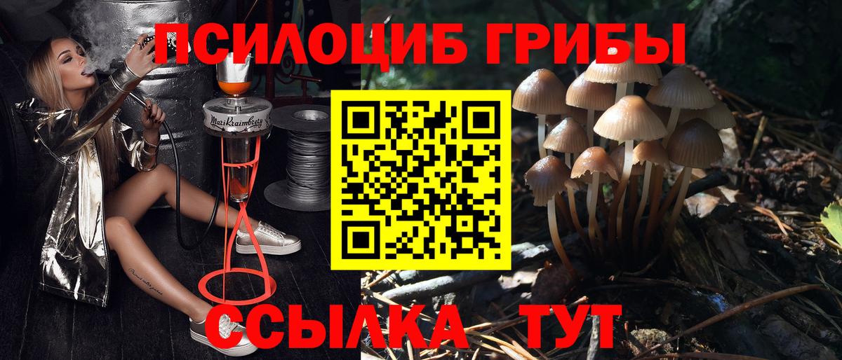 Псилоцибиновые грибы Psilocybe  Вход с VPN  Новотроицк 