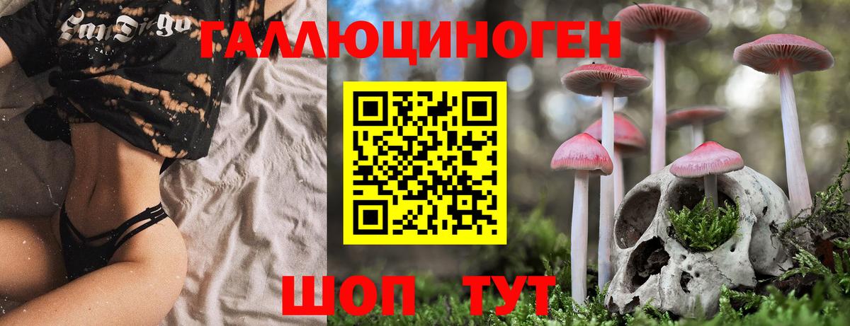Псилоцибиновые грибы прущие грибы Новотроицк